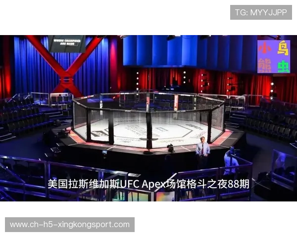 格斗UFC：顶级对决激烈，擂台燃爆！，世界顶级ufc格斗比赛视频