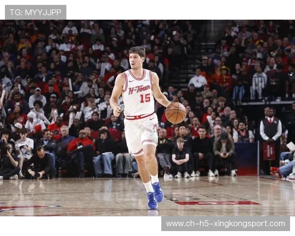 火箭对灰熊：赛季表现与技术统计，nba火箭对灰熊